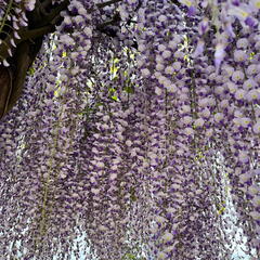 23-05-16 12-06-32 5395